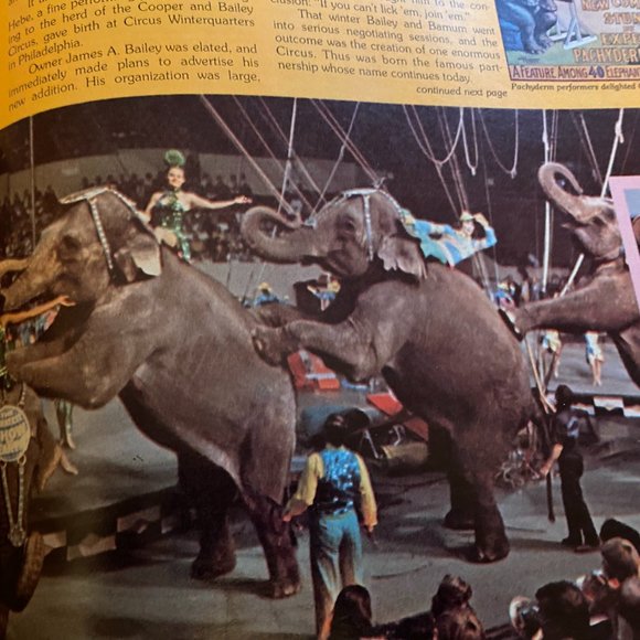 Vintage Ringling Brothers 1977 Circus Show Book - Picture 3 of 16